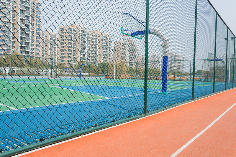 Saha, Spor ve Rekreasyon Alanları